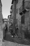 06_Siena TP7_0298